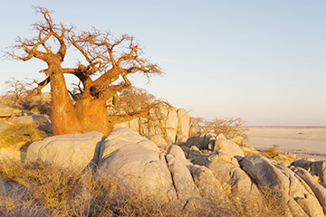 博茨瓦納夏卡維機(jī)場三字代碼(SWX),夏卡維機(jī)場(Shakawe airport)四字碼,博茨瓦納機(jī)場三字碼查詢